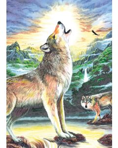 Royal Brush Mini Color Pencil By Number Kit 5"X7"-Wolf At Night