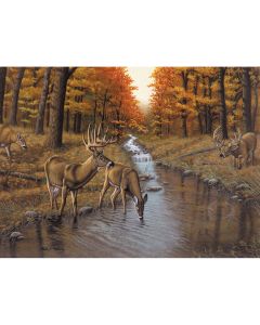 Royal Brush Paint By Number Kit 15.375"X11.25"-Symond's Creek