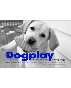 Abrams Publishing Stewart Tabori & Chang Books-Dogplay