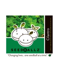 Seedballz Cilantro - 8 Pack