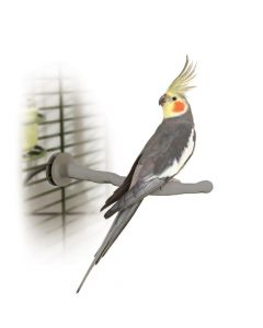 K&H Pet Products Bird Thermo-Perch Gray 13" x 1.25" x 1.25"