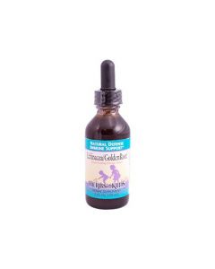 Herbs For Kids Echinacea GoldenRoot Orange - 2 fl oz