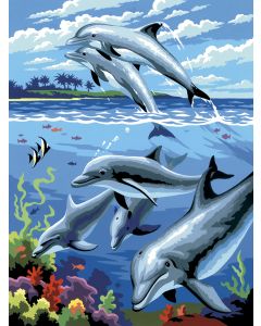 Royal Brush Junior Small Paint By Number Kit 8.75"X11.75"-Dolphins