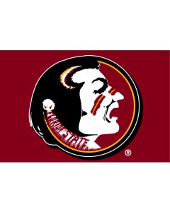 The Northwest Company Florida State 39"x59" Acrylic Tufted Rug (College) - Florida State 39"x59" Acrylic Tufted Rug (College)