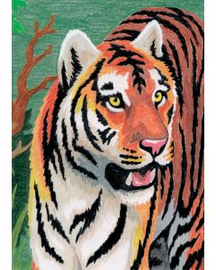 Royal Brush Mini Color Pencil By Number Kit 5"X7"-Jungle Tiger
