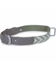 Worldwise Loved Ones Fashion Dog Collar W/Tag Silencer - Small-Green