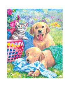Royal Brush Color Pencil By Number Kit 8.75"X11.75"-Wash Day Fun