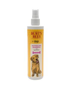 Fetch For Pets Burt's Bees Dog Shampoo 10oz-Waterless