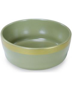 Worldwise Loved Ones Ceramic Tonal & Metallic Dog Bowl - Small-Green