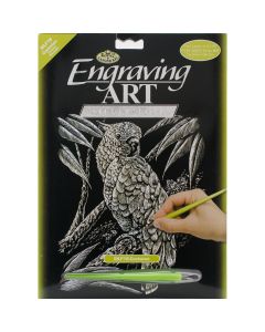 Royal Brush Silver Foil Engraving Art Kit 8"X10"-Cockatoo