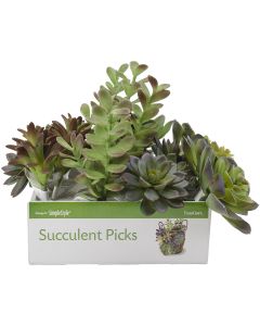 Floracraft Succulent Picks Display-Large
