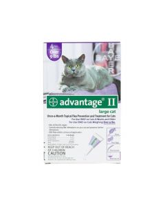 Advantage Flea Control for Cats and Kittens Over 9 lbs 4 Month Supply
