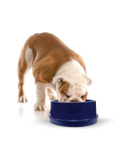 Pet Coolin' Bowl - K&H Pet Products CleanFlow Cat Ceramic Fountain with Reservoir 170 oz. Off-White 11.5" x 9" x 10.5"