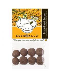 Seedballz Black-Eyed Susan - 8 Pack