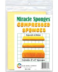 Color Wheel Compressed Sponges 3/Pkg-4"X6"