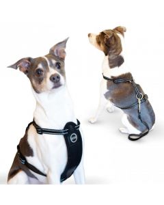 K&H Pet Products Travel Safety Pet Harness Medium Black
