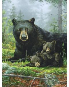 The Northwest Company Hautman Bros. - Nap Time Bears Hautman Bros. 60"x 80" Super Plush Throw