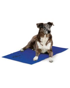 Coolin Pet Pad - K&H Pet Products Thermo Snuggly Sleeper Oval Pet Bed Medium Sage 26" x 20" x 5"
