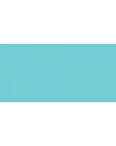 Clearsnap ColorBox Pigment Mini Ink Pad-Aqua