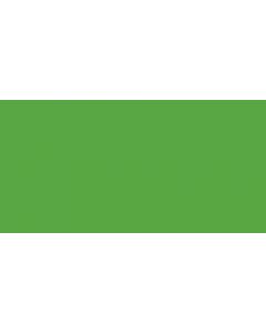Cindus Crepe Streamers 1.75"X500'-Light Green