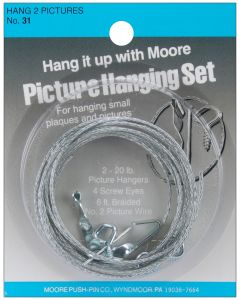 Moore Push Pin Picture Hanging Kit-