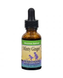 Herbs For Kids Minty Ginger - 1 fl oz
