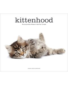 Abrams Publishing Stewart Tabori & Chang Books-Kittenhood