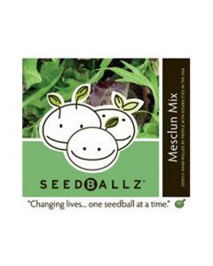 Seedballz Mesclun Salad - 8 Pack