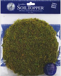 Supermoss Moss Pot Toppers 8" 3/Pkg-Green