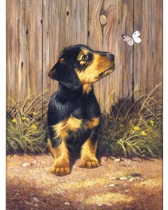 Royal Brush Junior Small Paint By Number Kit 8.75"X11.75"-Dachshund Puppy
