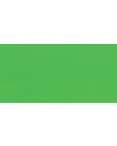 Palmer Prism Tempera Fluorescent Poster Paint 8oz-Green