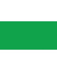 Testors Enamel Paint .25oz-Green Fluorescent