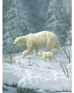 The Northwest Company Hautman Bros- Polar Bear Hautman Bros. 60"x 80" Super Plush Throw