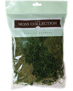 Quality Growers Preserved Spanish Moss 108.5 Cubic Inches-Apple Green