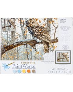 Dimensions Paint Works Paint By Number Kit 14"X11"-Wise Owl