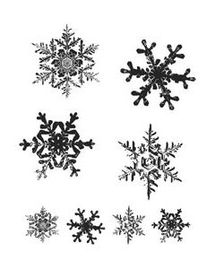 Stampers Anonymous Tim Holtz Cling Stamps 7"X8.5"-Grunge Flakes
