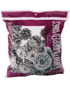 Winter Woods White Tipped Red Pinecones 7oz-