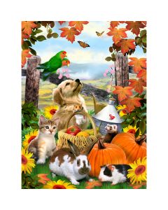 Royal Brush Junior Small Paint By Number Kit 8.75"X11.75"-Autumn Festival