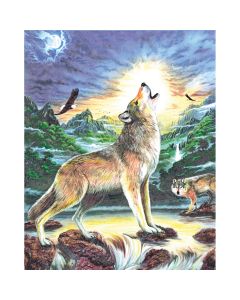 Royal Brush Color Pencil By Number Kit 8.75"X11.75"-Wolf At Night
