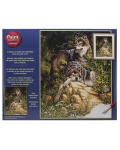 Dimensions Paint Works Paint By Number Kit 16"X20"-Wild & Free Wolves