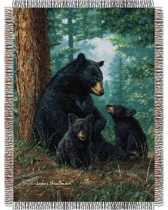 The Northwest Company Hautman Bros Naptime  Entertainment 48x60 Tapestry Throw