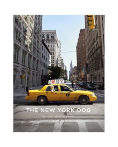 Abrams Publishing Stewart Tabori & Chang Books-The New York Dog
