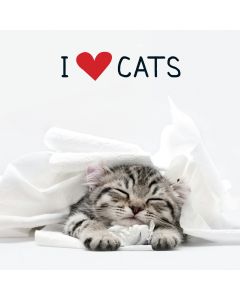 F&W Media Adams Media Books-I Love Cats