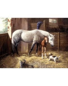 Royal Brush Paint By Number Kit 15.375"X11.25"-New Friends