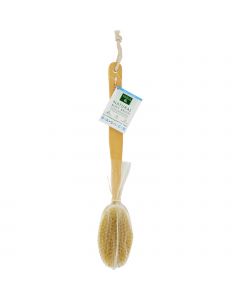 Earth Therapeutics Natural Body Brush - 1 Brush