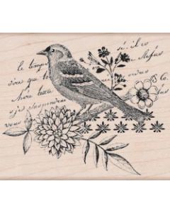 Hero Arts Mounted Rubber Stamp 3.25"X3.75"-Bird Collage