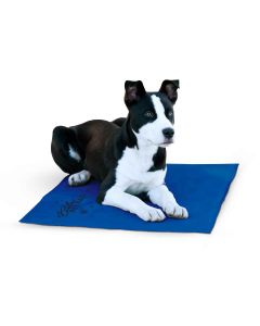 Coolin Pet Pad - K&H Pet Products Cool Bed III Thermoregulating Pet Bed Large Blue 32" x 44" x 0.5"