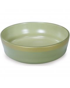 Worldwise Loved Ones Ceramic Tonal & Metallic Dog Bowl - Large-Green
