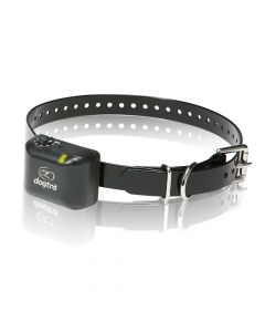 Dogtra No Bark Collar Small / Medium Black
