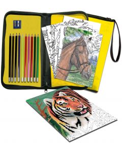 Royal Brush Big Kid's Choice Easy To Do Keep 'N Carry Set-Color Pencil By Number